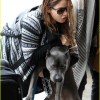 imagebam.com