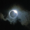 34b0d110428317.gif