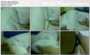 free image host