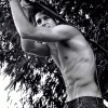 Fred Motta