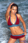 fa31d712901685.gif