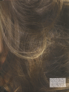 b310bd12957222.gif