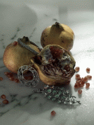 16f1d940058739.gif