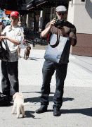 imagebam.com