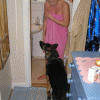62fe9d47632176.gif