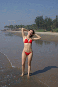 free image host