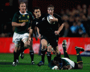 6ae7e148665174.gif