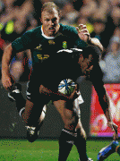 73c05248664010.gif