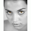 free image host