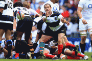 86b29782625243.gif
