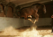 df7bfc8756852.gif