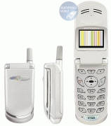 motorola motorola