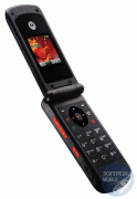 motorola motorola