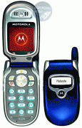 motorola motorola