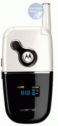 motorola motorola