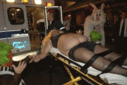 bfd91b9519157.gif